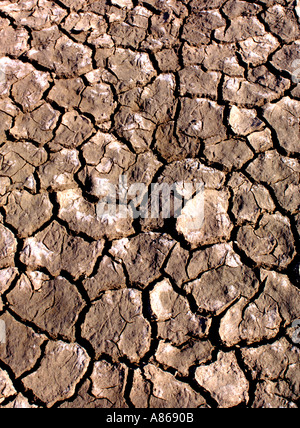 Close up dettaglio della terra secca Foto Stock