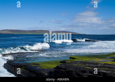 Dh Eynhallow Sound EVIE ORKNEY onde di rotolamento a terra seacliff ripiano mare blu e Rousay costa dell'isola Foto Stock