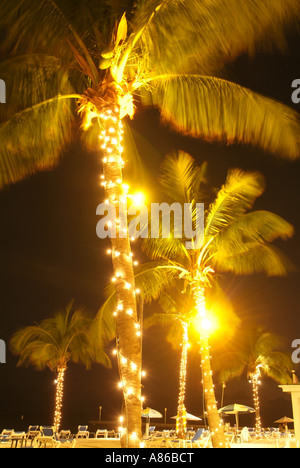 Luci su palme illumina la spiaggia più meridionale di Key West Foto Stock