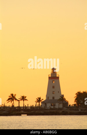 sunset by a lighthouse on Marathon Key pelicans and palm trees Foto Stock