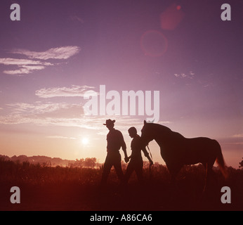 Giovane passeggiate a cavallo nel campo al tramonto Foto Stock
