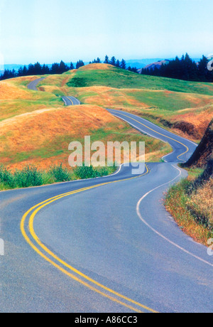 Strada tortuosa sul Monte Tamalpais Marin County vicino a San Francisco California USA Foto Stock