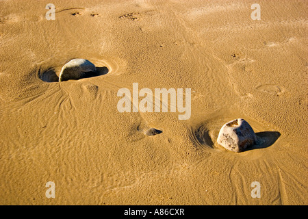 Rocce di sabbia sulla spiaggia Broadhaven Galles Foto Stock