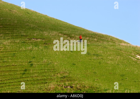 Celtica e medievale di modelli di aratura sulla collina raccolti nella valle di Pewsey Foto Stock