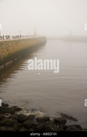 Whitby Harbour breakwater su un nebbioso giorno Foto Stock