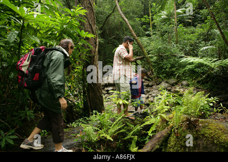 Vista di una famiglia nel bosco. Foto Stock