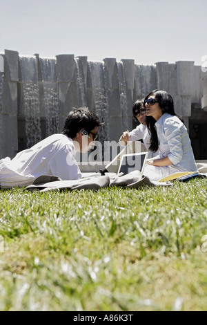 Tre professionisti lavorano seduti in un prato. Foto Stock