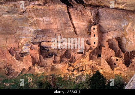 Torre quadrata Casa Mesa Verde National Park Pueblo Foto Stock