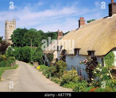 GB DORSET PIDDLETRENTHIDE Church Lane CHIESA DI TUTTI I SANTI Foto Stock