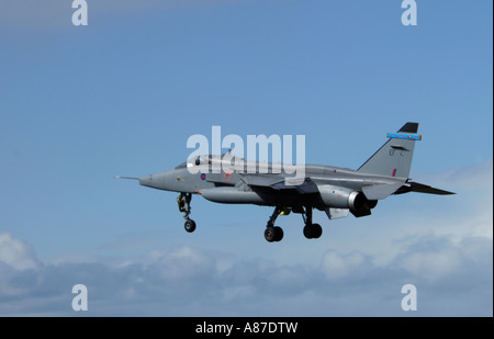 Sepecat Jaguar GR3A per essere sostituito dall'Eurofighter Typhoon nella RAF Foto Stock