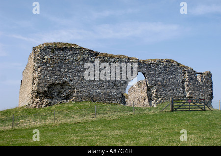 Castello Roy Badenoch e Strathspey Foto Stock