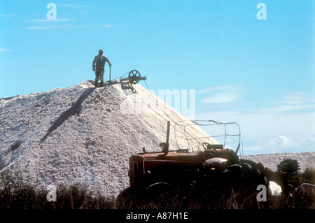 Lavoratore in una salina o essiccati salt lake Foto Stock