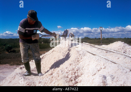 Lavoratore in una salina o essiccati salt lake Foto Stock