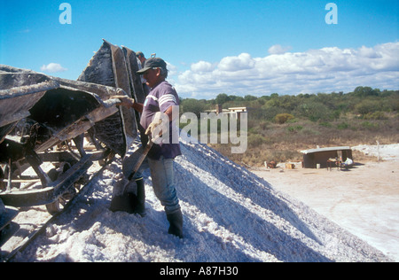 Lavoratore in una salina o essiccati salt lake Foto Stock