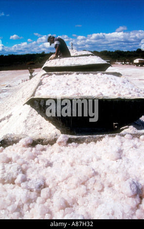 Lavoratore in una salina o essiccati salt lake Foto Stock