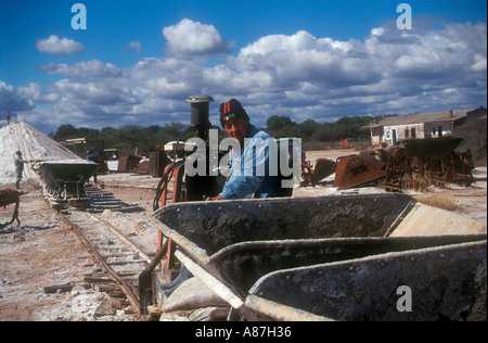 Lavoratore in una salina o essiccati salt lake Foto Stock