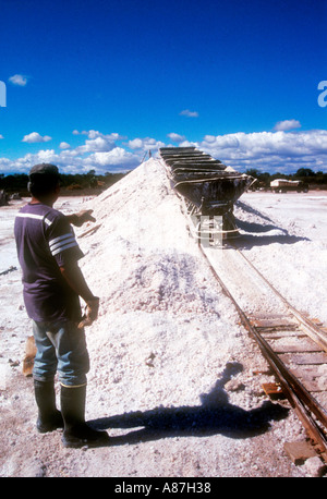 Lavoratore in una salina o essiccati salt lake Foto Stock