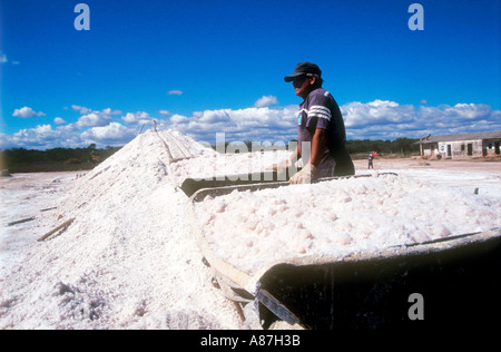 Lavoratore in una salina o essiccati salt lake Foto Stock