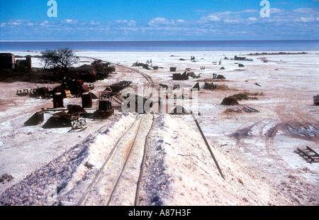 Lavoratore in una salina o essiccati salt lake Foto Stock