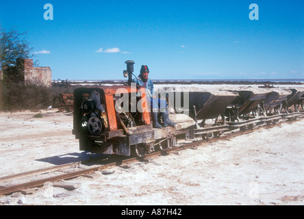 Lavoratore in una salina o essiccati salt lake Foto Stock