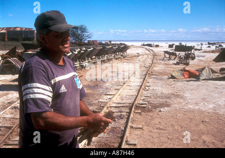 Lavoratore in una salina o essiccati salt lake Foto Stock