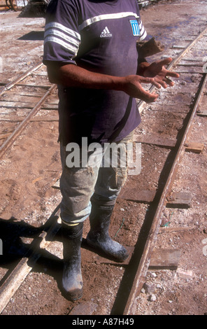 Lavoratore in una salina o essiccati salt lake Foto Stock