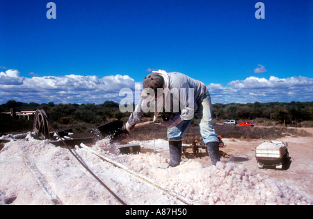 Lavoratore in una salina o essiccati salt lake Foto Stock