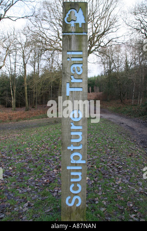 Sentiero delle sculture signpost nella Foresta di Dean, Gloucestershire, Inghilterra Foto Stock