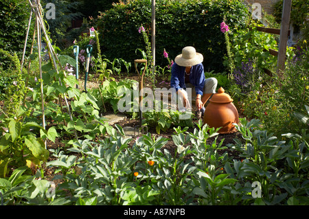 Donna modello rilasciato il diserbo patch vegetale in un giardino Dorset England Regno Unito Foto Stock