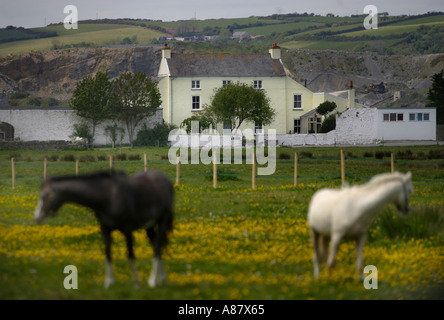 Hurst House Hotel vicino a Laugharne in Dyfed Galles posseduto dalla televisione Attore Neil Morrissey Foto Stock