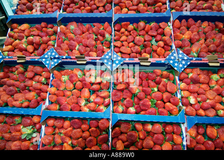 Abitudini alimentari stabilimenti presso la Florida State Fair Foto Stock