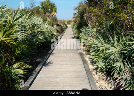 Tumulo di tartaruga sezione della Florida Indian Mound Builders Foto Stock