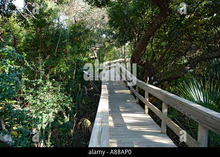 Tumulo di tartaruga sezione della Florida Indian Mound Builders Foto Stock