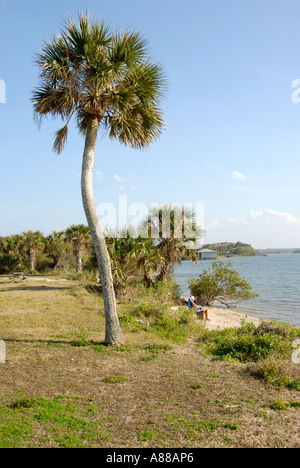 Tumulo di tartaruga sezione della Florida Indian Mound Builders Foto Stock