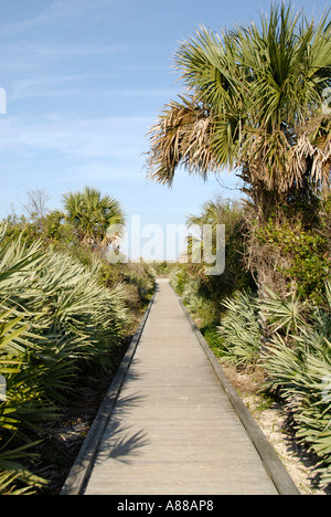 Tumulo di tartaruga sezione della Florida Indian Mound Builders Foto Stock