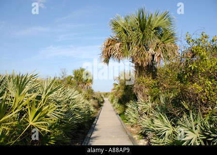 Tumulo di tartaruga sezione della Florida Indian Mound Builders Foto Stock