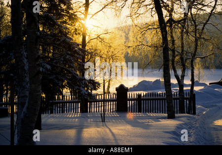 Sole che splende attraverso la coperta di neve alberi nel villaggio di Jukkasjarvi, casa del IceHotel, Jukkasjarvi, Lapponia, Svezia Foto Stock