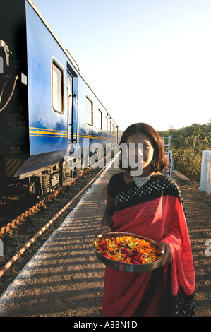 Deccan Odyssey treno / Maharaja Indiani treno, India Foto Stock