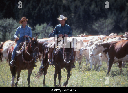 Il CAVALLO WHISPERER 1998 Buena Vista film con Robert Redford e Kristin Scott Thomas Foto Stock