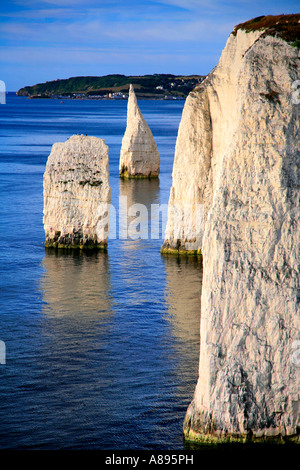 I Pinnacoli Seastacks Poole Bay Jurassic la costa del Dorset in Inghilterra La Gran Bretagna REGNO UNITO Foto Stock