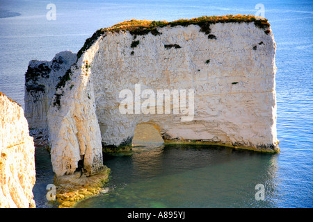 Mattinata estiva Old Harry Rocks Poole Bay chalk seastacks Jurassic la costa del Dorset in Inghilterra La Gran Bretagna REGNO UNITO Foto Stock