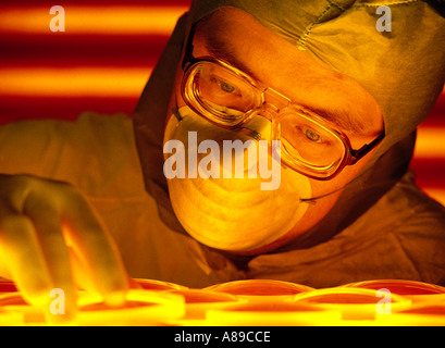 Close up di un tecnico di ricerca indossando indumenti di protezione lavora con petrie piatti in Minnesota U UN Foto Stock