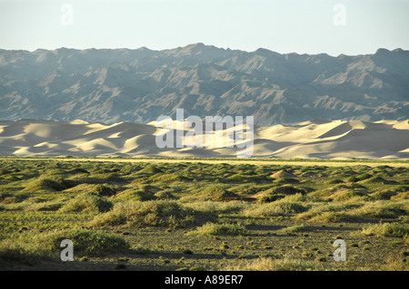 Dune di steppa e la gamma della montagna nel deserto dei Gobi Khongoryn Els Gurvan Saikhan Parco nazionale della Mongolia Foto Stock