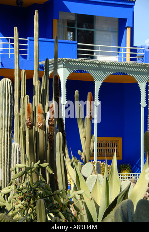 Distinti caratteristica architettonica blue house con cactus nel giardino Jardin Majorelle Marrakech marocco Foto Stock