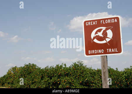 Florida,Polk County,Lake Wales,Historic Bok Sanctuary,Sign,Great Florida Birding Trail,Orange grove,FL060304149 Foto Stock