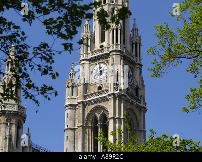 Vienna, municipio Foto Stock