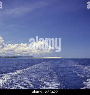 Magica Isola un autentico tipicamente tropicali isola deserta con un unico albero di palme e spiagge di sabbia bianca di Isole Fiji Foto Stock