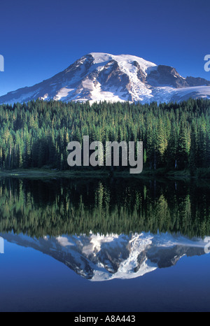 Mount Rainier riflessa nel lago di riflessione il Parco Nazionale del Monte Rainier Washington Foto Stock