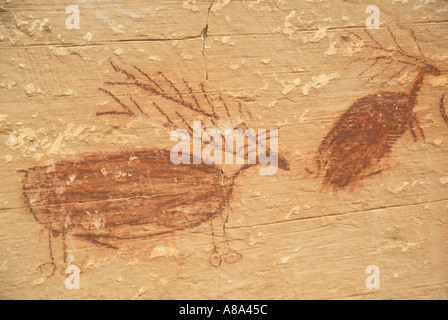 Elk o deer petrograph sulla parete del canyon Horseshoe Canyon Unità Maze District Canyonlands National Park nello Utah Foto Stock