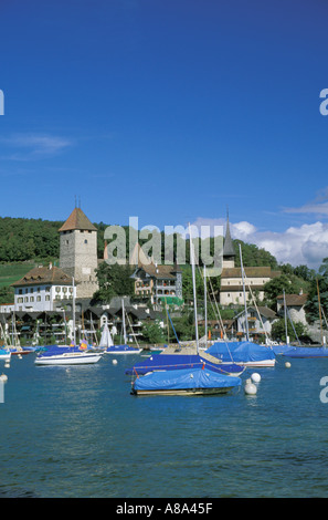 Barche a vela all'ancoraggio Spiez svizzera Foto Stock